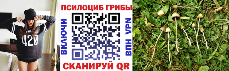 blacksprut ссылки  Оренбург  Галлюциногенные грибы Psilocybine cubensis 